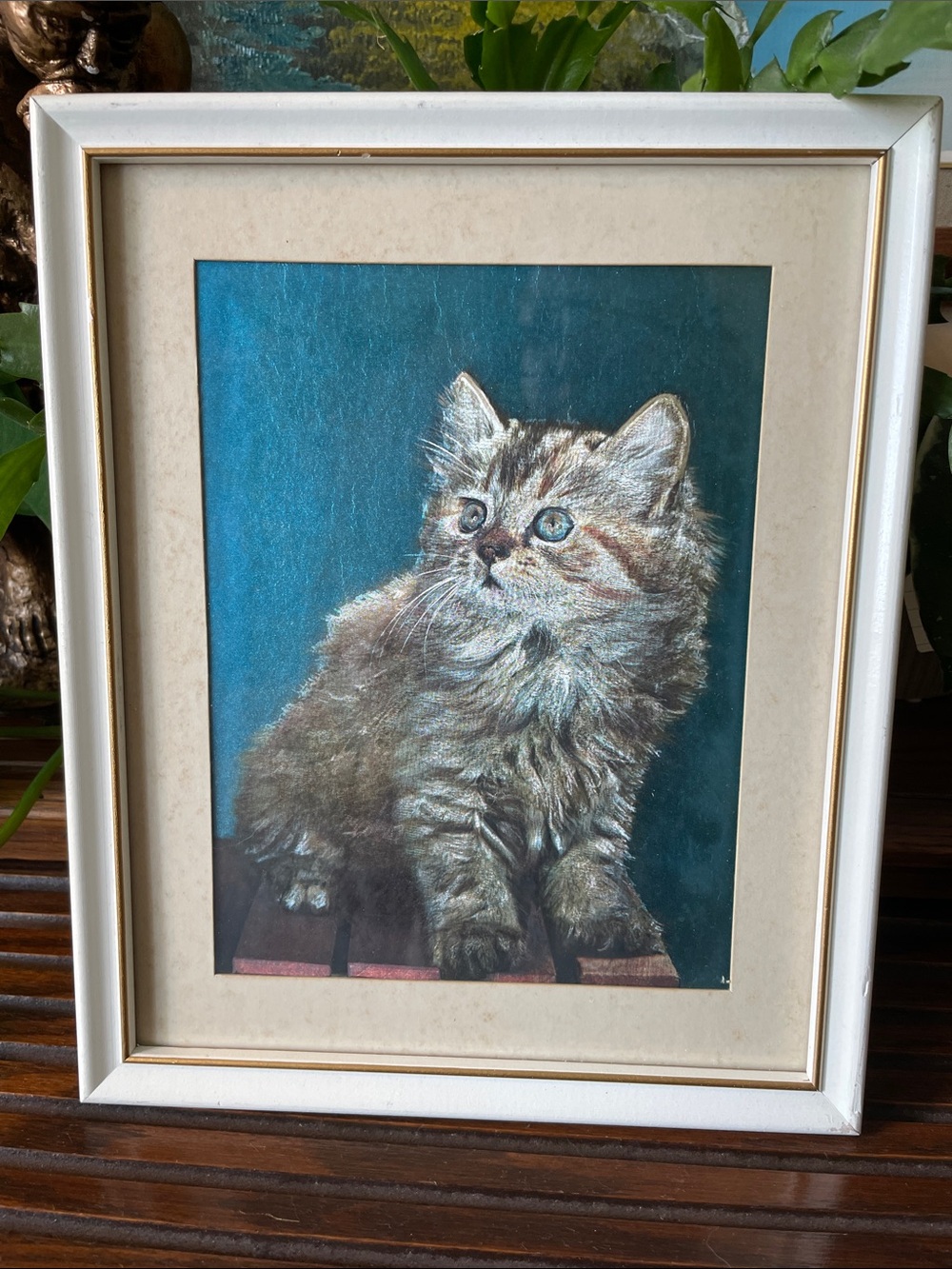 Vintage Dufex foil art print blue eyed tabby cat kitten 1980s